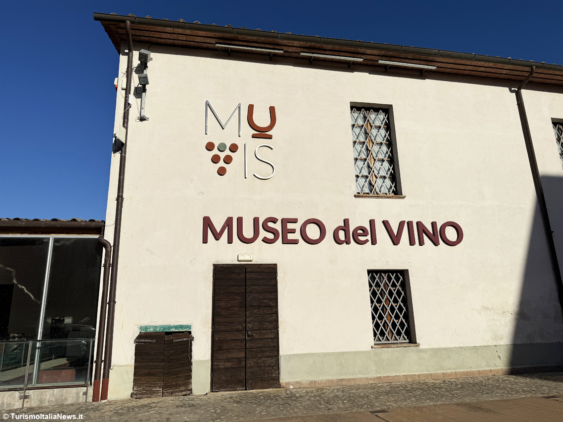 Beneath Castiglione in Teverina: a journey through Europe’s largest underground wine museum — welcome to Muvis