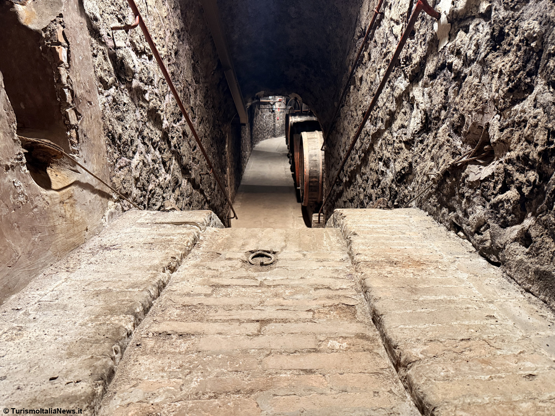 Beneath Castiglione in Teverina: a journey through Europe’s largest underground wine museum — welcome to Muvis
