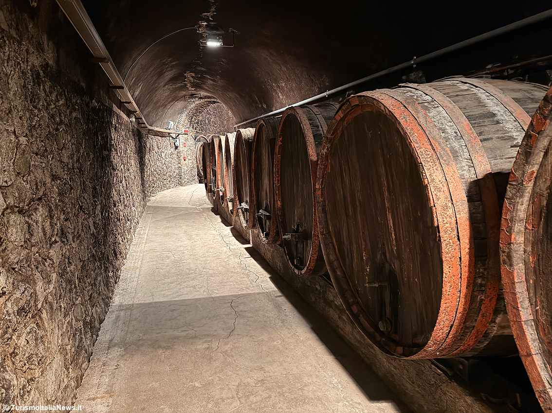 Beneath Castiglione in Teverina: a journey through Europe’s largest underground wine museum — welcome to Muvis