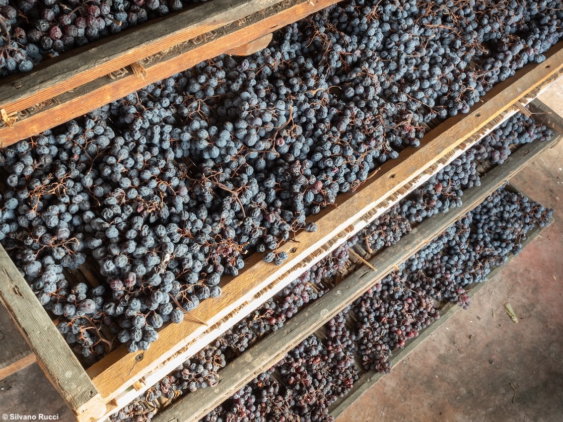 Un vino dalla storia millenaria: il Recioto della Valpolicella, fortemente identitario, è Presidio Slow Food