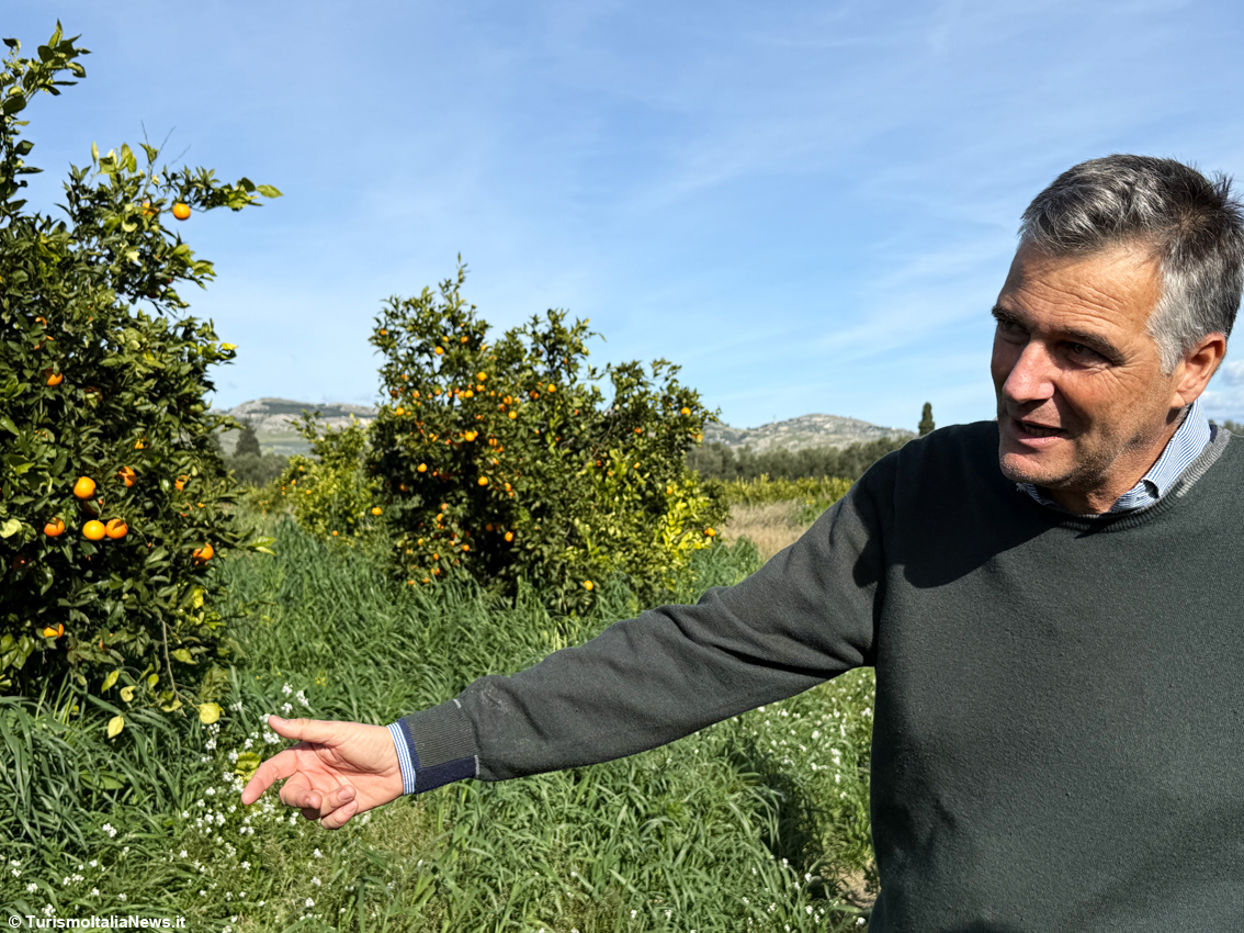 Gerardo Diana is the President of the Consortium for the Protection of the Pgi Sicilian Blood Orange
