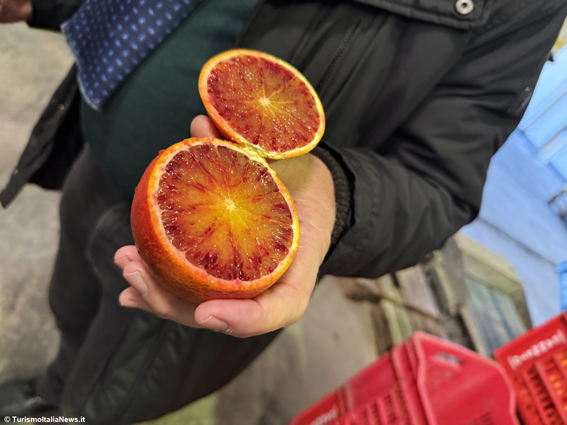 Excellence is born beneath Mount Etna: a journey into Sicilian Blood Oranges Pgi, beauty you can taste