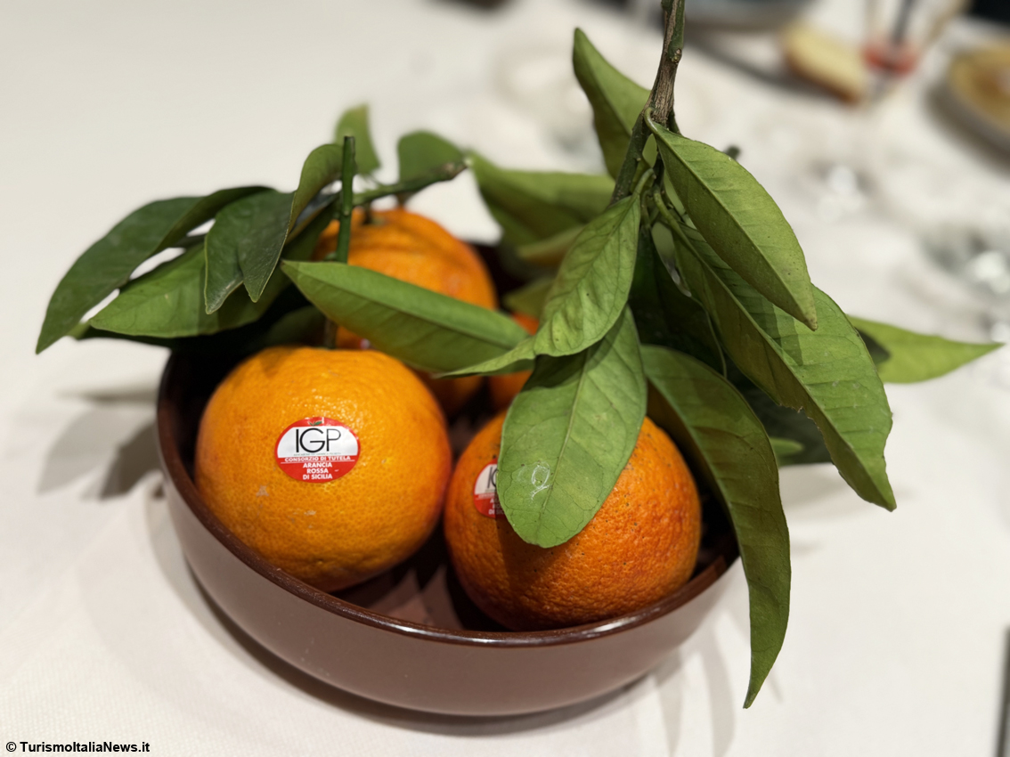 Excellence is born beneath Mount Etna: a journey into Sicilian Blood Oranges Pgi, beauty you can taste
