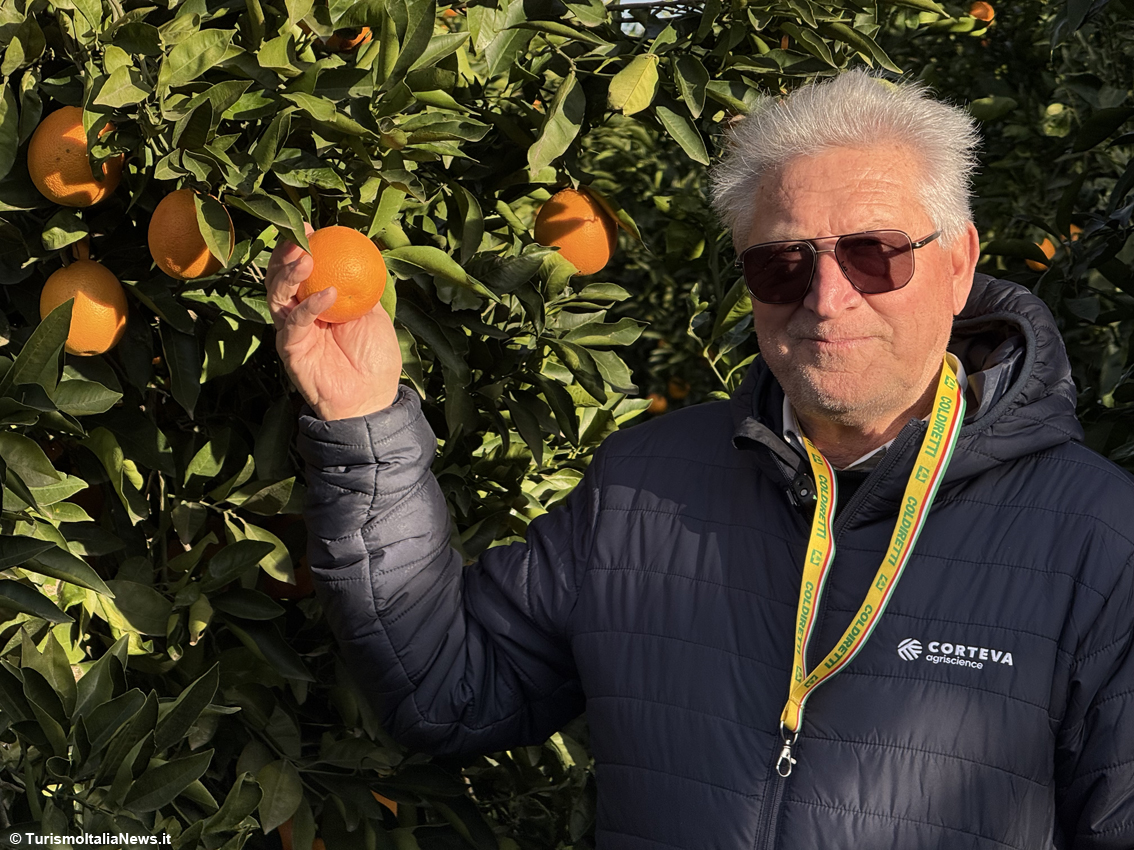 Vito Amantia, producer at the Fratelli Amantia company