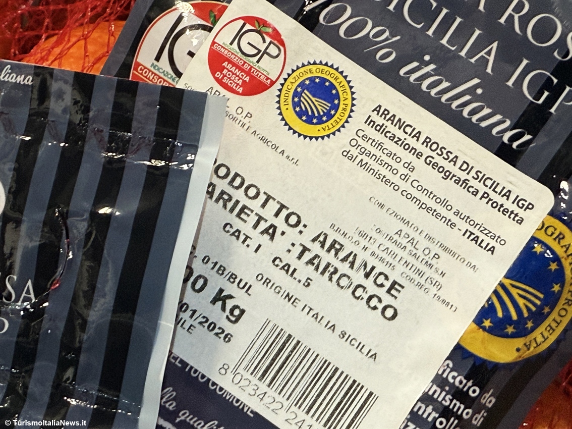 Dalla terra al mercato globale: la sfida siciliana di Apal O.P. e il ruolo chiave del Consorzio dell’Arancia Rossa di Sicilia Igp