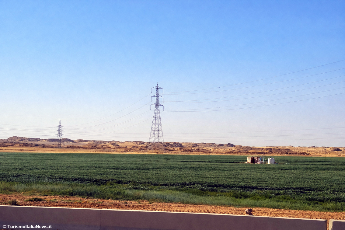Dal Sahara al raccolto: il “miracolo verde” dell’Egitto che trasforma il deserto in campi fertili grazie al Nilo
