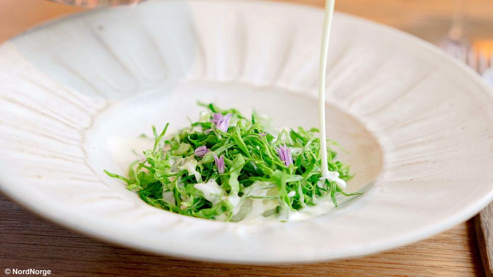 Per la prima volta nella sua storia, il Nord della Norvegia conquista una Stella Michelin, entrando ufficialmente nella mappa delle destinazioni gastronomiche più prestigiose del mondo. Il riconoscimento è stato assegnato al ristorante Kvitnes Gård, situato nell'arcipelago delle Vesterålen