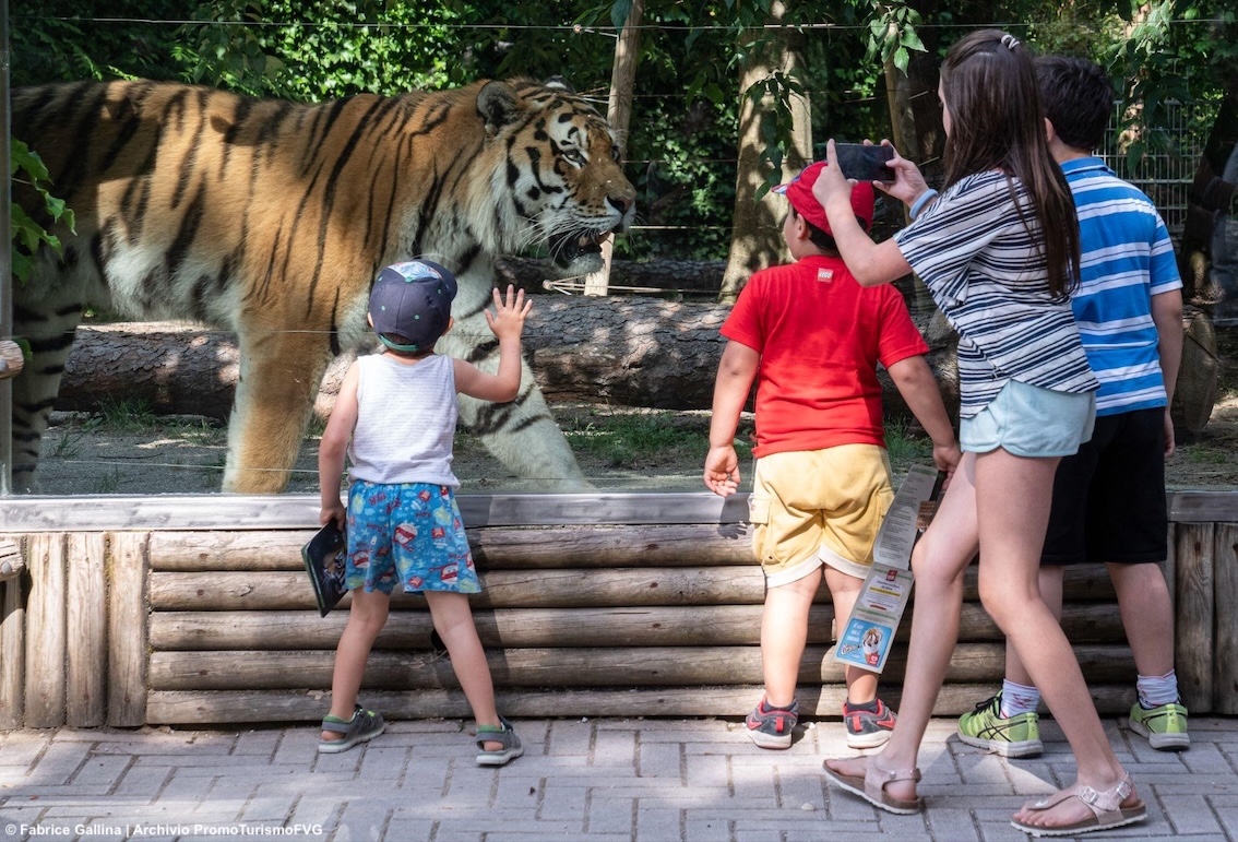 Lignano Sabbiadoro, il Parco Zoo di Punta Verde