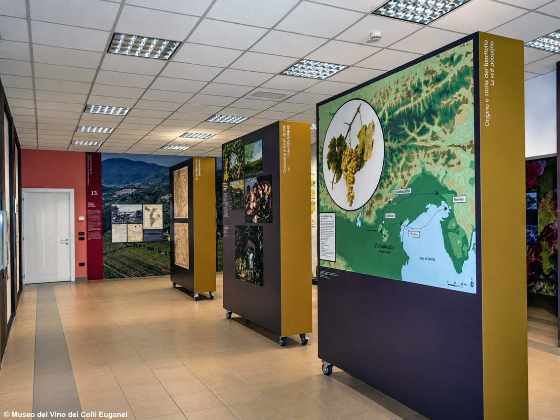 images/stories/varie_2026/MuseoDelVinoColliEuganei_01.jpg