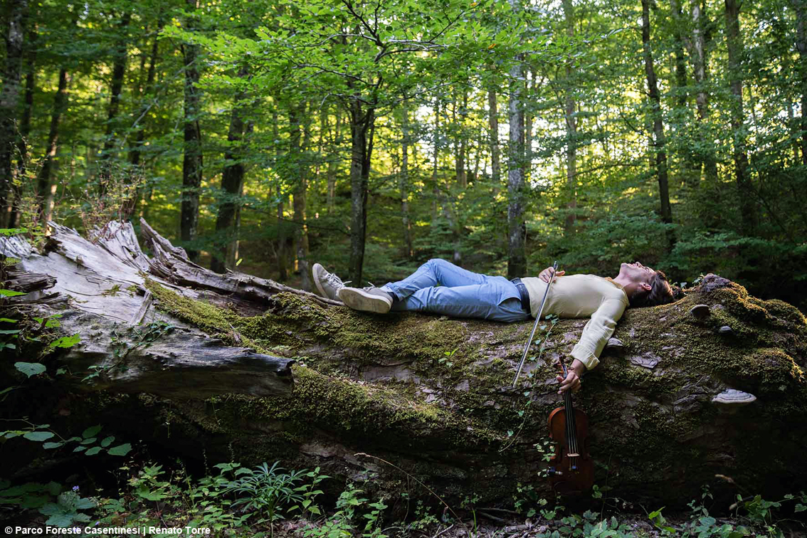 images/stories/varie_2026/ParcoForesteCasentinesi_ArmoniaDellaBellezza_01.jpg