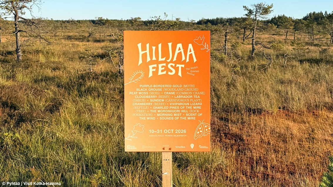 Quietchella, il festival che spegne gli amplificatori: in Finlandia sul palco salgono il vento, gli uccelli e il silenzio