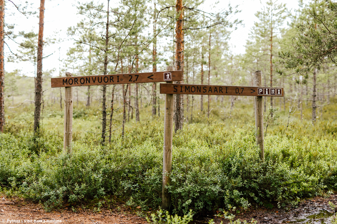 Quietchella, il festival che spegne gli amplificatori: in Finlandia sul palco salgono il vento, gli uccelli e il silenzio