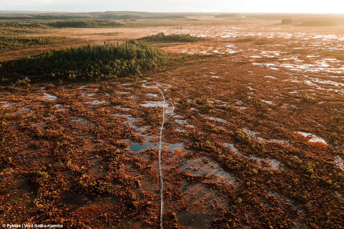 Quietchella, il festival che spegne gli amplificatori: in Finlandia sul palco salgono il vento, gli uccelli e il silenzio