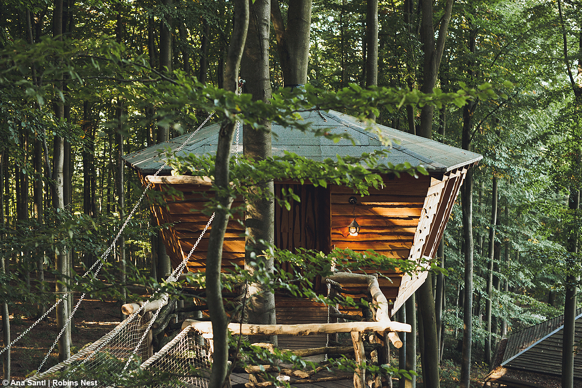 Dormire tra le chiome degli alberi: in Germania ecco il villaggio che trasforma il bosco in un’esperienza da vivere