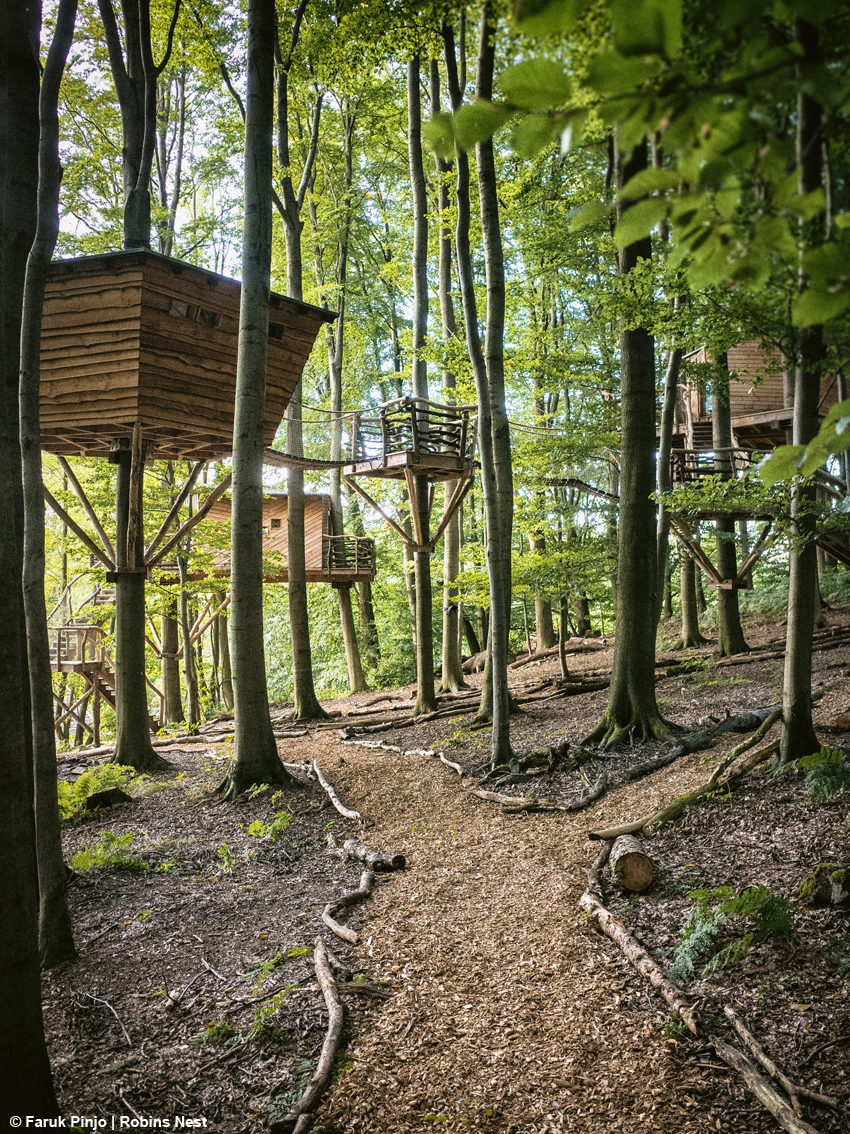 Dormire tra le chiome degli alberi: in Germania ecco il villaggio che trasforma il bosco in un’esperienza da vivere