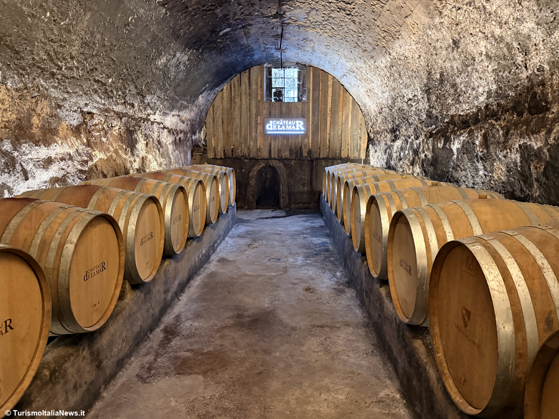 Qui il vino si sposa con otto secoli di storia: lo Château de La Mar, il castello che domina il Marestel, in Savoia