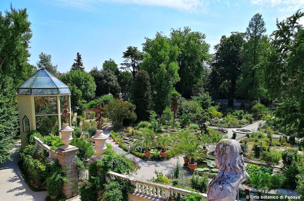 L'Orto Botanico di Padova