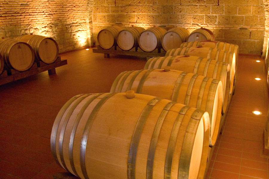 Musei del vino, da spazi museali a hub di esperienze, seguendo l'esempio delle eccellenze europee: le innovazioni e le sfide future