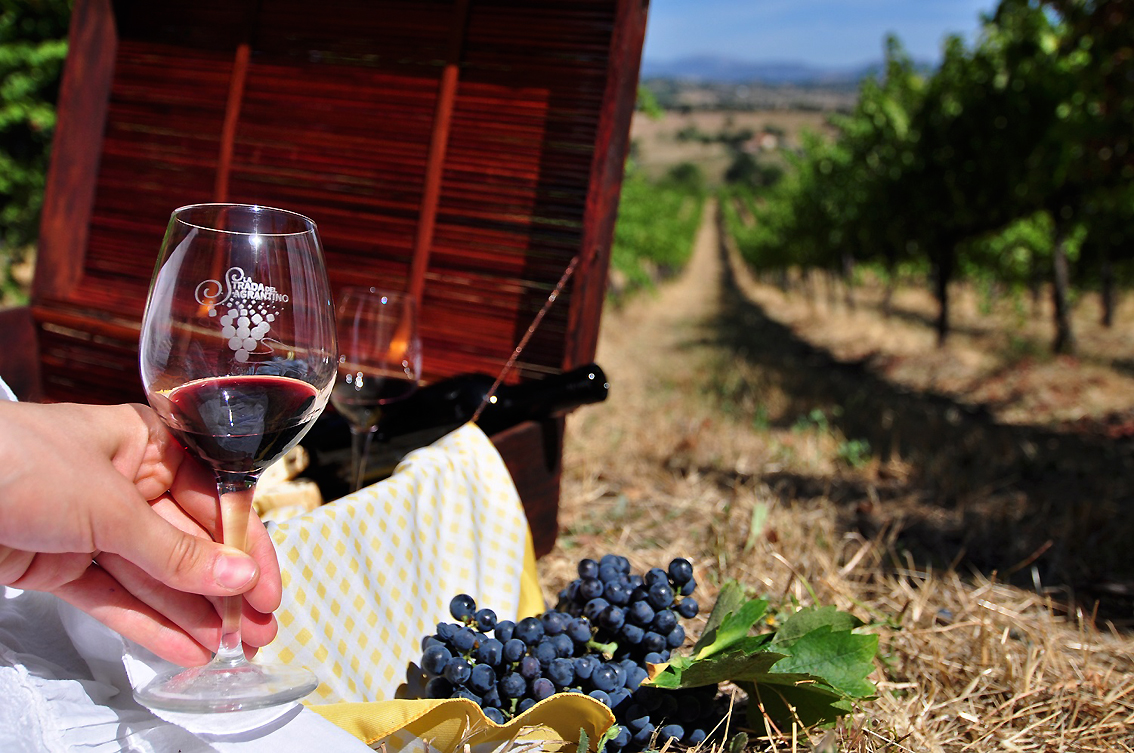 Cresce il Consorzio Tutela Vini Montefalco: al Sagrantino Docg e al Montefalco Doc si aggiunge la Spoleto Doc (foto Consorzio Tutela Vini Montefalco)