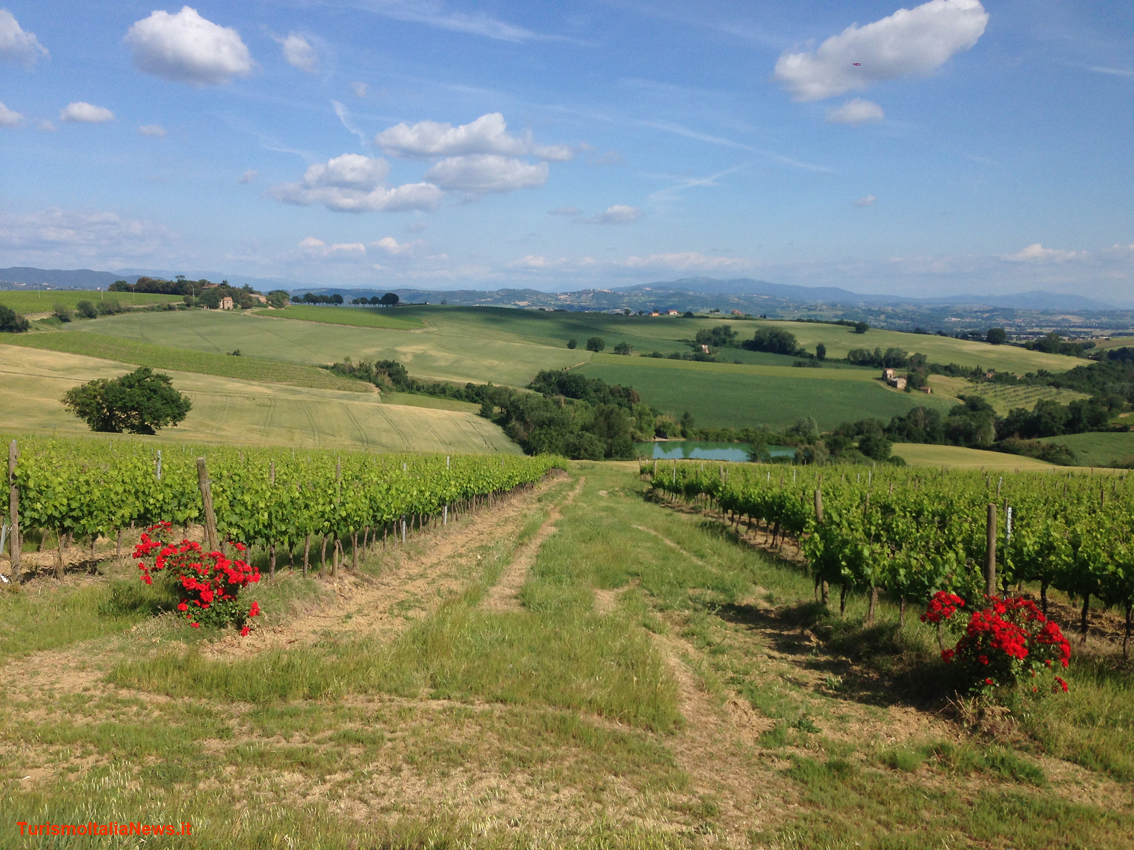 https://www.turismoitalianews.it/images/stories/vino/UmbriaStradaViniCantico01.JPG